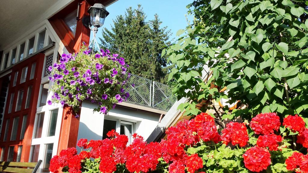 Matraszentimre Panzio Hotel Екстериор снимка